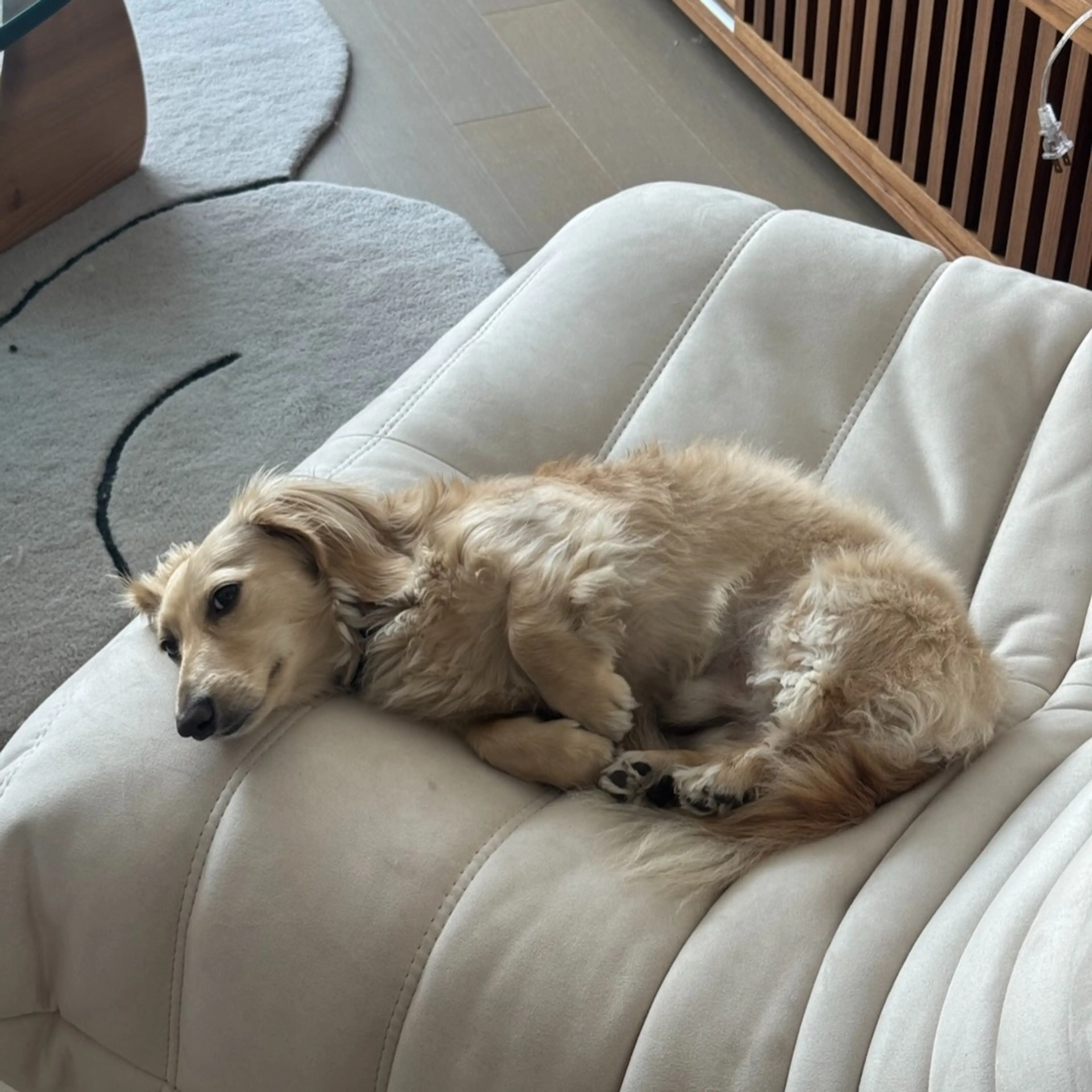 Butter on Togo Chair