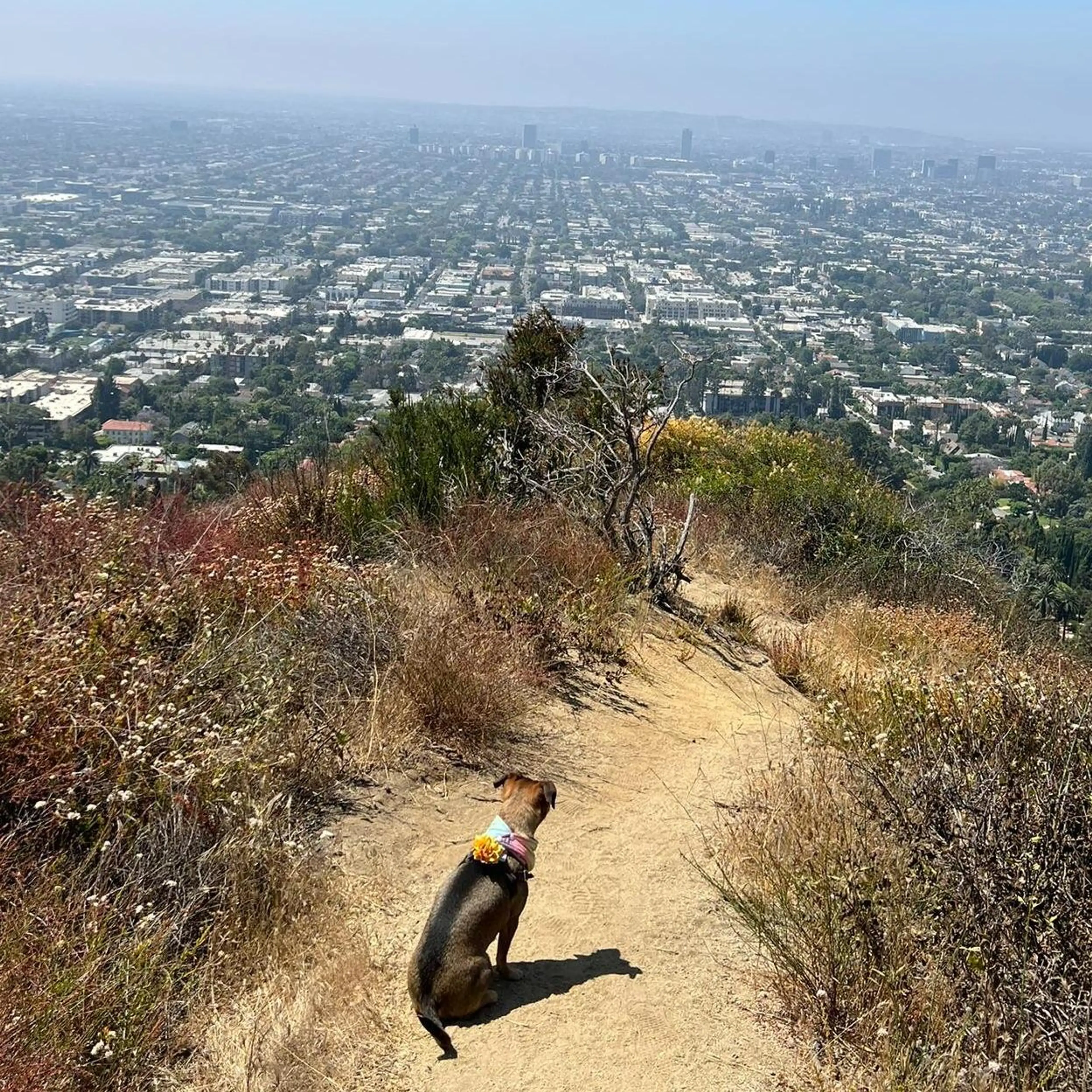 Los Angeles