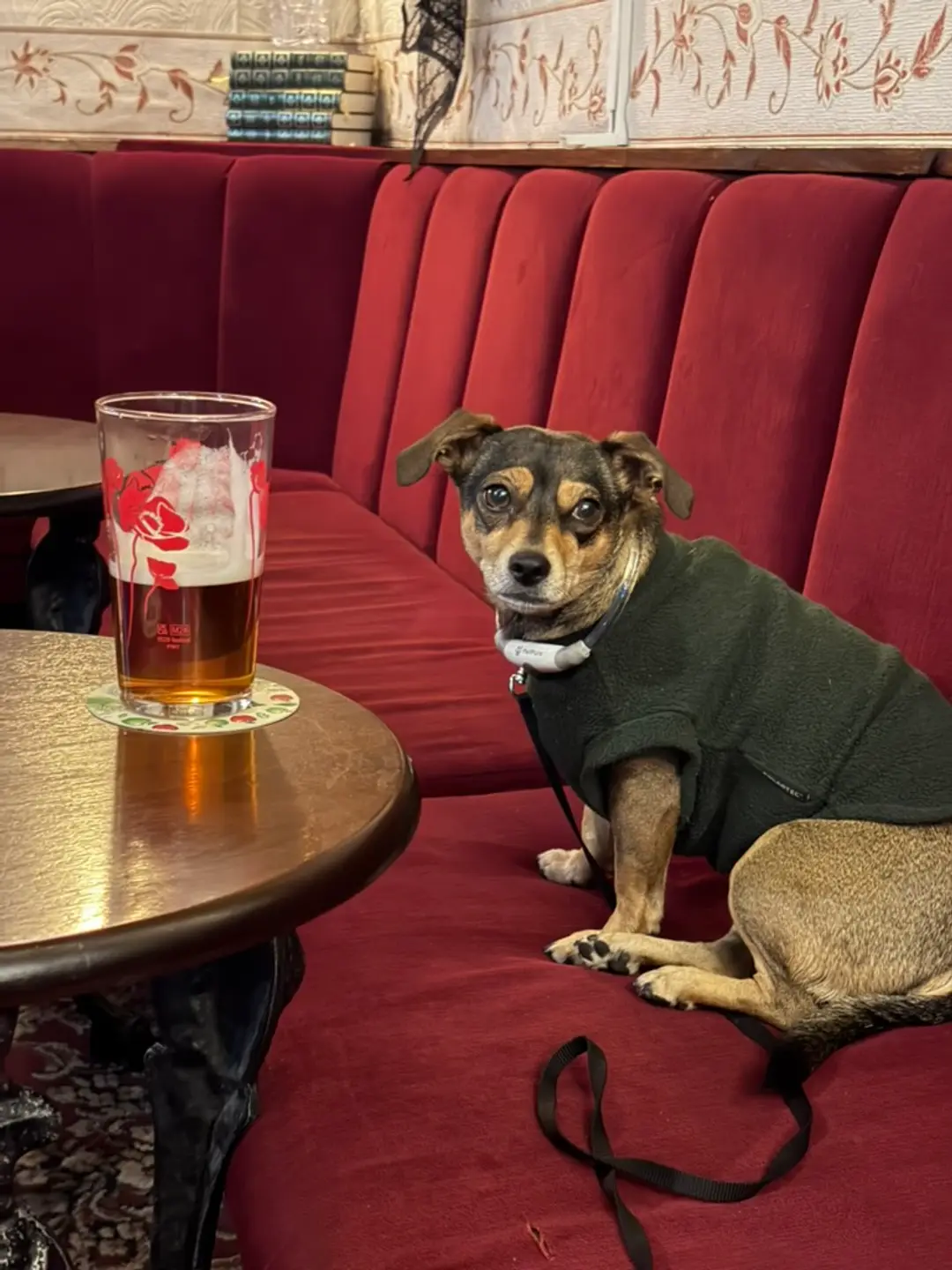 Pub Crawl with Sage [Sage's Experiences] - DOWNLOAD VOUCHER